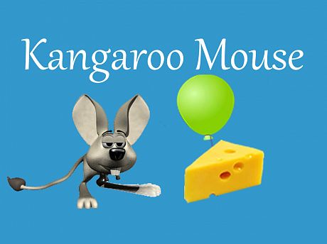 Kangaroo mouse